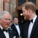 El Rey Carlos y Harry planean que reaparezcan juntos otras vez