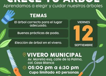 Realizará Ayuntamiento de Hermosillo taller “Crece tu Árbol” -Será de manera gratuita este 12 de septiembre para aprender a elegir y cuidar especies adecuadas
