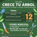 Realizará Ayuntamiento de Hermosillo taller “Crece tu Árbol” -Será de manera gratuita este 12 de septiembre para aprender a elegir y cuidar especies adecuadas
