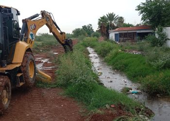 Atiende COE afectaciones por depresión tropical “Lorena” en Cajeme