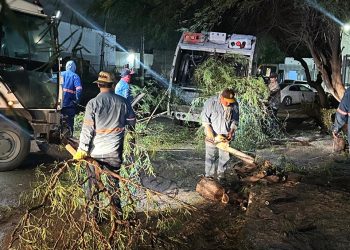 Realiza Ayuntamiento de Hermosillo acciones preventivas y de limpieza por lluvias