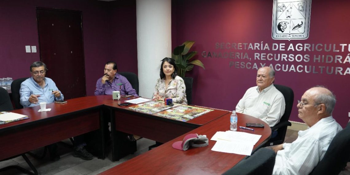 Gobierno de Sonora e Inifap realizarán el XXVI Simposio Internacional de Nogal Pecanero 2025