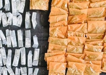 Más de 300 envoltorios de narcótico fueron asegurados por el Gobierno de Sonora en Hermosillo