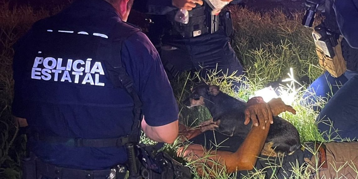 Paramédicos de la Policía Estatal auxilian a ciudadano durante incendio en Cajeme: Gobierno de Sonora