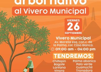 Entregará Gobierno de Hermosillo árboles nativos de manera gratuita