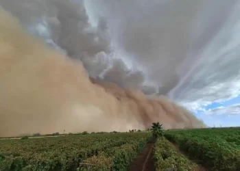 Tormenta de arena y lluvias azotan Caborca