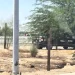 Localizan cabeza humana flotando en canal de San Luis Río Colorado
