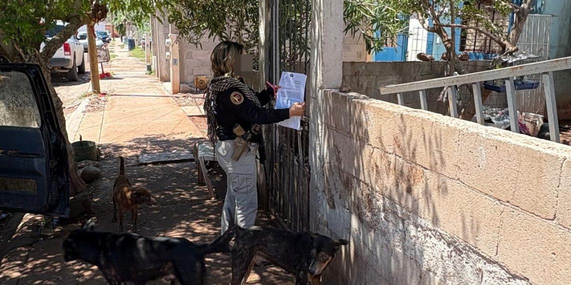 Rescatan a 11 caninos y aves durante cateo por maltrato animal en Guaymas
