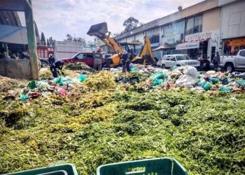 Pierde México 20.4 millones de tons de alimentos al año