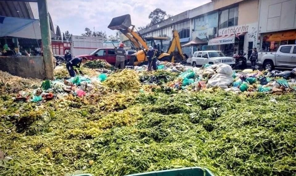 Pierde México 20.4 millones de tons de alimentos al año