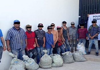 Por el robo de camarón a una granja acuícola once personas fueron vinculadas a proceso