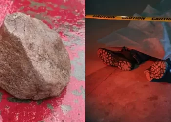 Tragedia en Nogales: Mujer pierde la vida tras caída de roca por lluvias