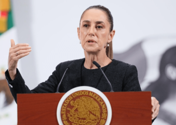 México no tiene indicios de que diputada Araceli Brown esté vinculada al Cártel de Sinaloa, dice Sheinbaum