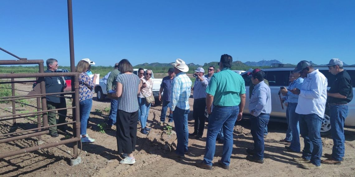 Inicia USDA revisión en Sonora como paso para la reapertura de la frontera: Gobierno de Sonora
