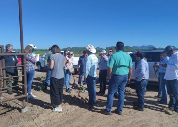 Inicia USDA revisión en Sonora como paso para la reapertura de la frontera: Gobierno de Sonora