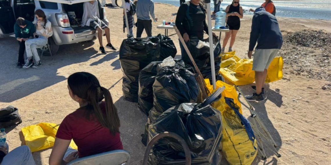 Se suma Gobierno de Sonora a jornada internacional de limpieza de costas: Cobach
