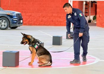 Policía Estatal en acciones para la prevención del delito en Los Olivos