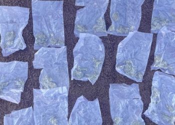 Incauta Policía Estatal 81 dosis de narcótico en el poblado Miguel Alemán