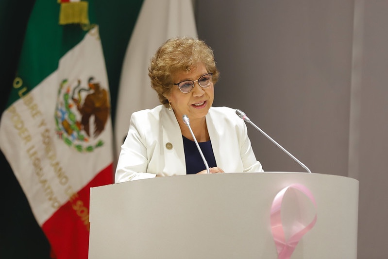 Diputada Rebeca Silva honra la memoria de los mártires de San Ignacio Río Muerto