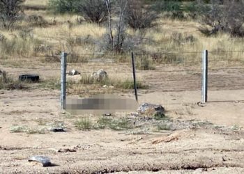 Hermosillo el municipio más violento del estado, localizan ejecutado con dos tiros en la cabeza