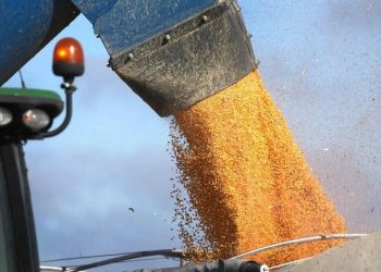 Alistan protesta nacional para sacar granos de T-MEC