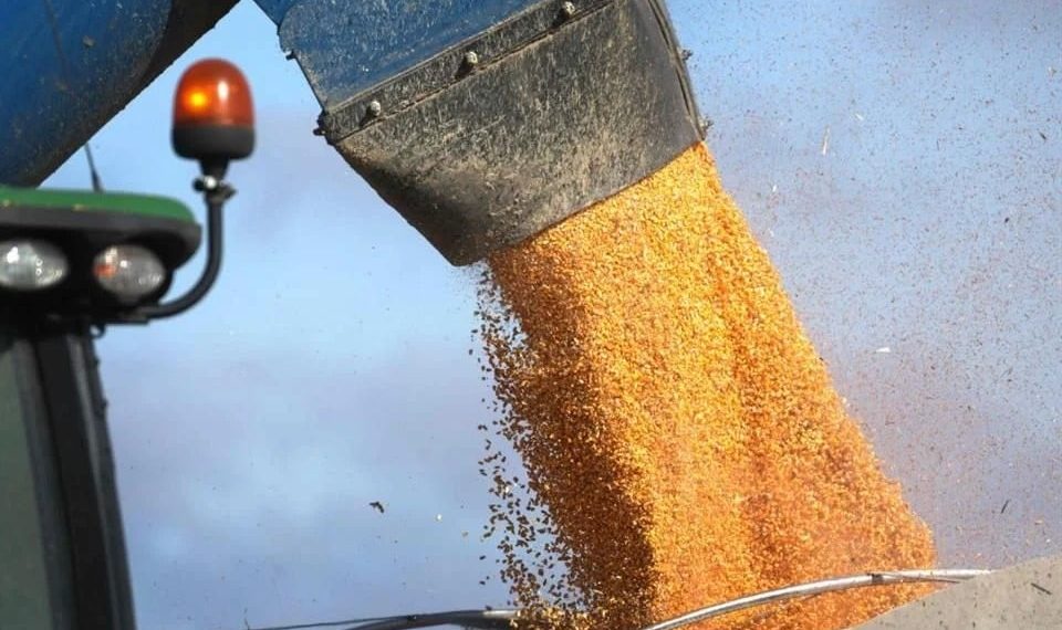 Alistan protesta nacional para sacar granos de T-MEC