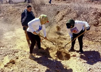 Buscadoras por la Paz Sonora localizan cuerpo con signos de violencia cerca de Mina Pilares en Hermosillo