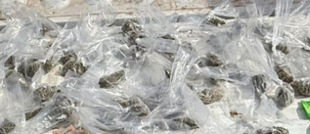 Incautan más de 100 envoltorios con narcótico en Cajeme