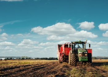 PIB agrícola en México por debajo del promedio en AL: estudio BID