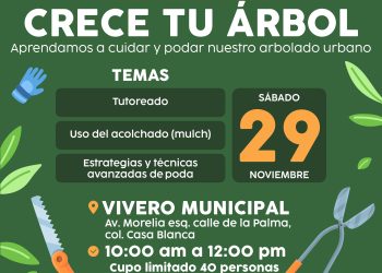 Realizará Gobierno de Hermosillo Taller “Crece Tu Árbol” nivel avanzando este sábado 29 