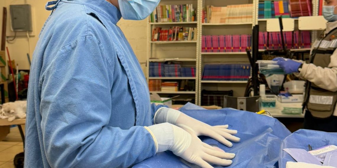 Bienestar Animal impulsa jornada gratuita de esterilización en Hermosillo