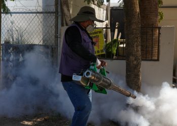 Gobierno de Sonora informa que no se han confirmado defunciones por dengue