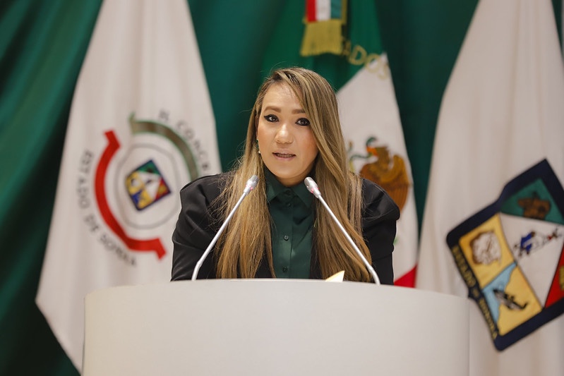 Presenta diputada Claudia Bours propuesta para reforzar medidas de seguridad vial a favor de menores de edad