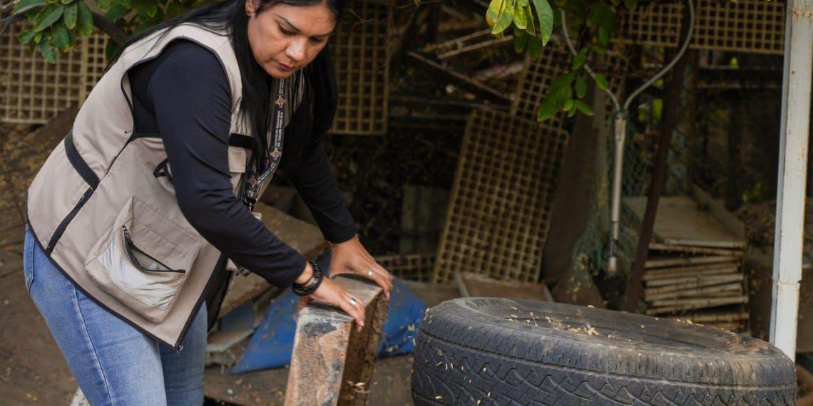 Llama Secretaría de Salud a reforzar prevención contra el dengue ante llegada de clima frío
