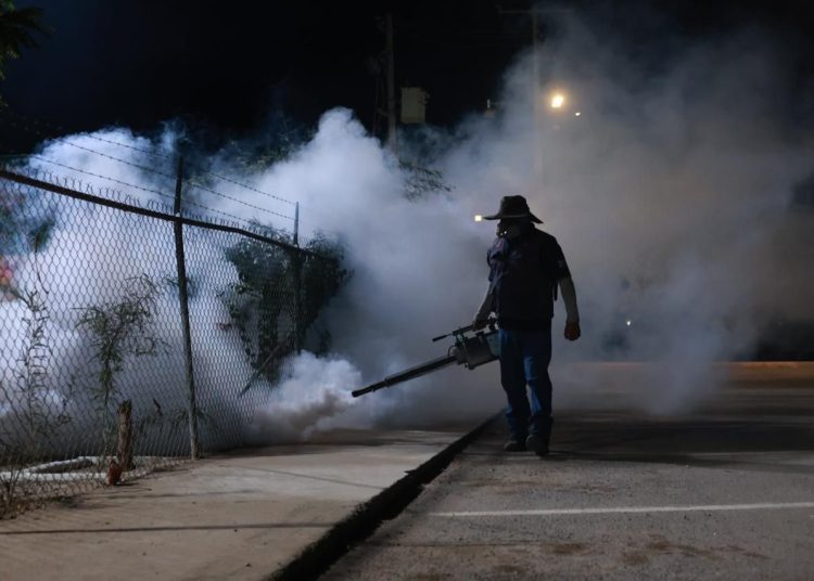 Salud Sonora fumiga más de 154 mil hectáreas contra el dengue en 283 localidades