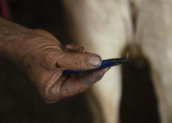 Confirman primer caso de gusano barrenador en Jalisco