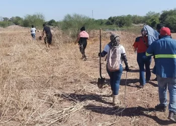 Encuentran dos osamentas más en El Choyudo