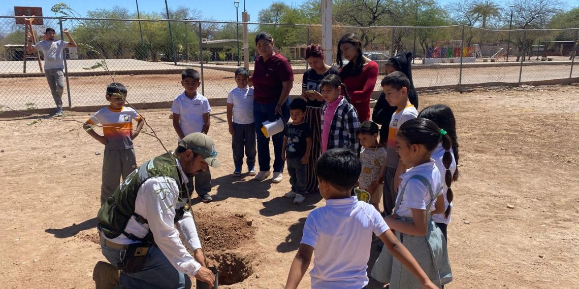 Impulsa Ayuntamiento de Hermosillo más de 160 acciones de educación ambiental y reforestación durante 2025