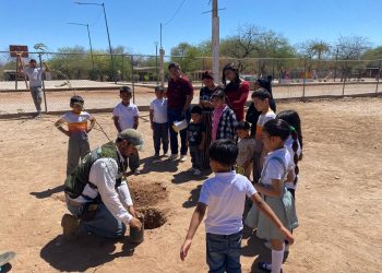 Impulsa Ayuntamiento de Hermosillo más de 160 acciones de educación ambiental y reforestación durante 2025