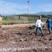 Crea Universidad de la Sierra el primer bosque con técnica Miyawaki