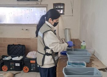 Más de 15 mil servicios de bienestar animal brinda el Gobierno de Sonora en 2025