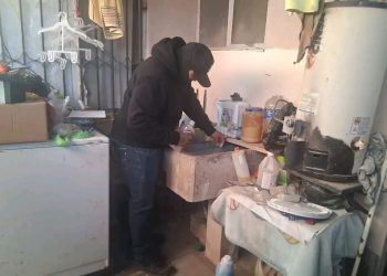 Continua Salud Sonora con acciones de prevención del dengue en la entidad