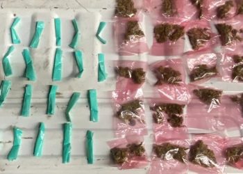 Operativo coordinado de la Policía Estatal y Defensa incautan narcótico en Hermosillo