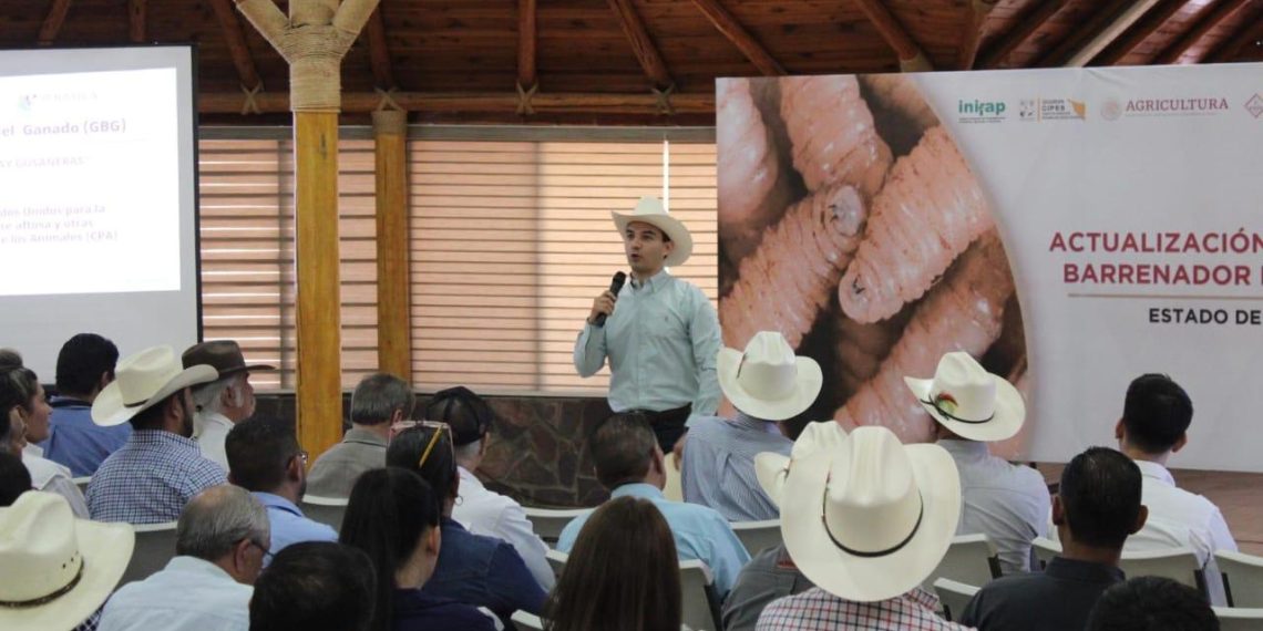 Más de 13 mil 702 millones de pesos destinó SADER en Sonora durante este 2025, beneficiando a 163 mil productores en el estado