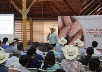 Más de 13 mil 702 millones de pesos destinó SADER en Sonora durante este 2025, beneficiando a 163 mil productores en el estado