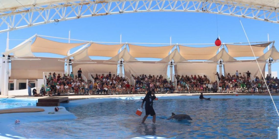 Gobierno de Sonora invita a visitar el Delfinario Sonora durante el periodo vacacional