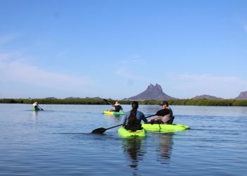 Gobierno de Sonora invita a visitar Estero El Soldado durante el periodo vacacional