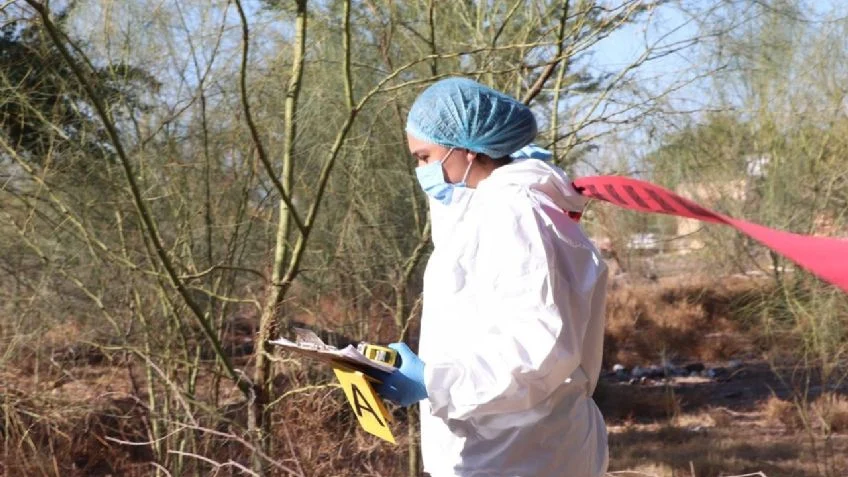 Localizan fosa con dos cuerpos en San Ignacio R.M.
