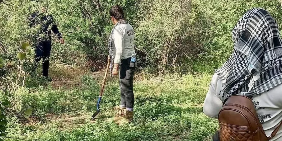 Localizan restos óseos en terreno de San José de Guaymas