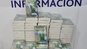 Senadores de Morena reciben libros de AMLO para regalar en temporada navideña